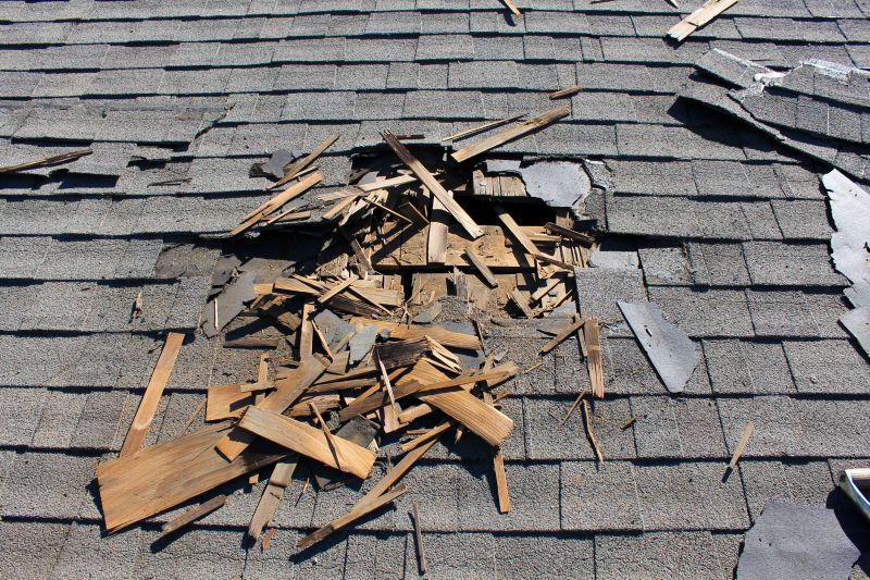 Prevents costly structural damage
